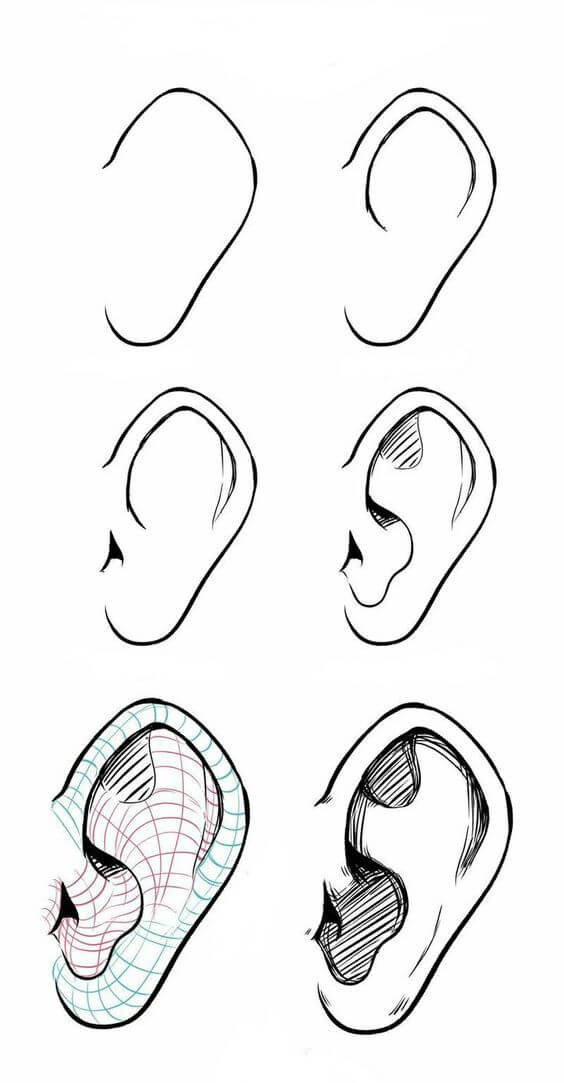 Desenhos de Detalhe da orelha