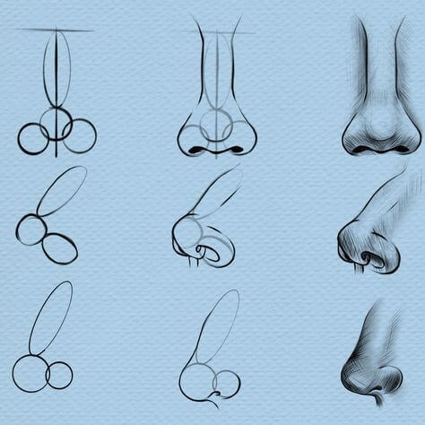 Desenhos de Gratuita de nariz