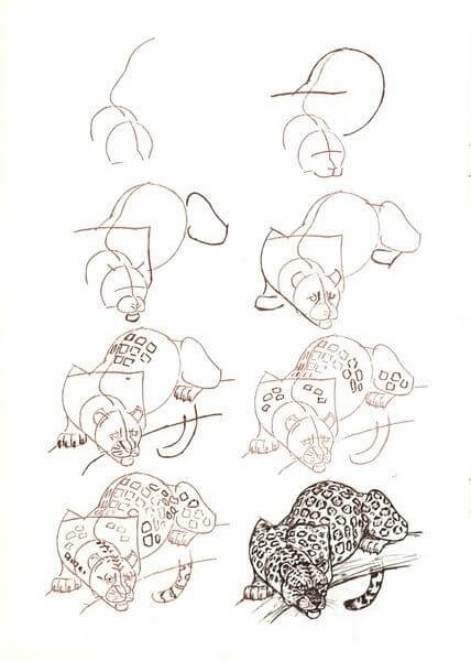 Desenhos de Guepardo à espreita de sua presa