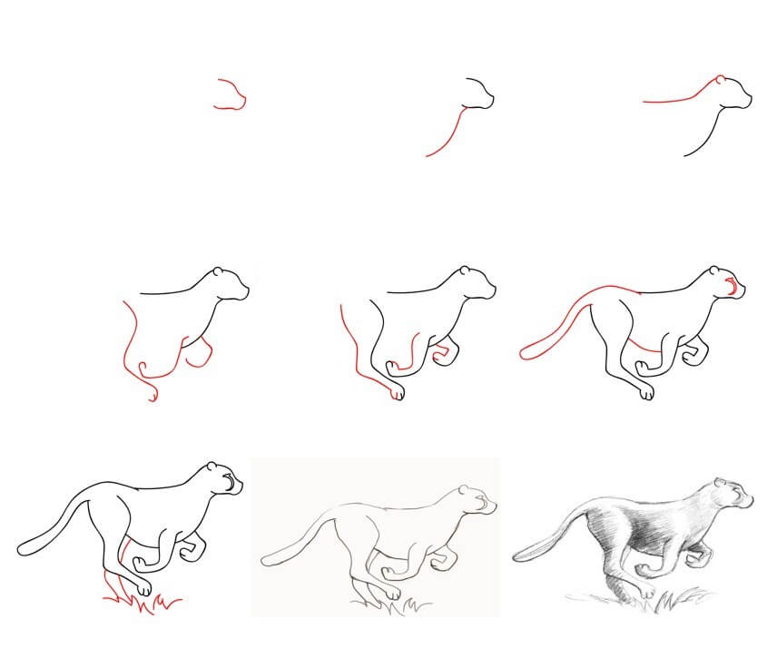 Desenhos de Guepardo mais rápido
