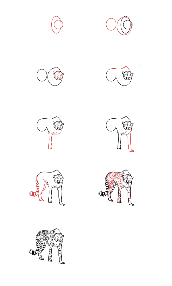 Desenhos de Guepardo pequeno