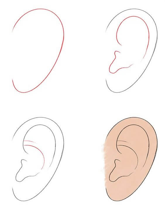 Desenhos de Imagem simples de orelha