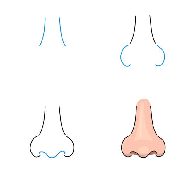 Desenhos de Nariz arredondado