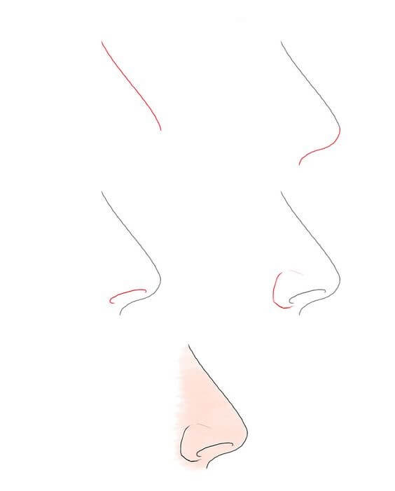 Desenhos de Nariz de raiz baixa