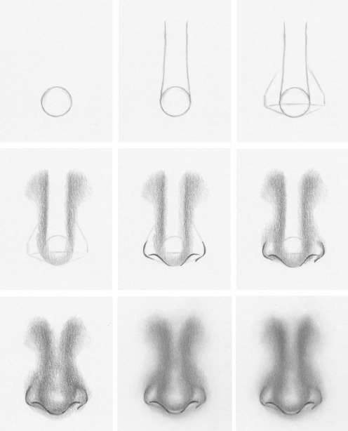 Desenhos de Nariz para artistas
