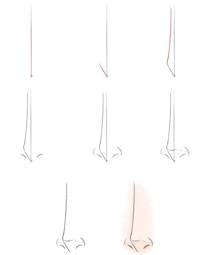 Desenhos de Nariz reto
