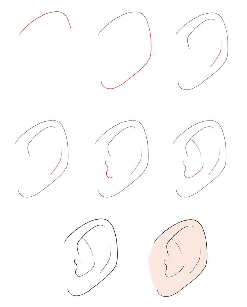 Desenhos de Orelha básicas
