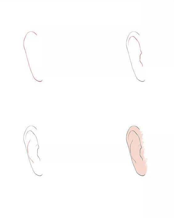 Desenhos de Orelha livres faceis