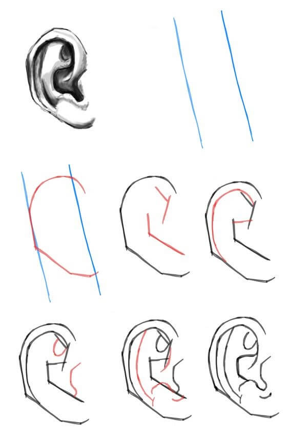 Desenhos de Orelha normais