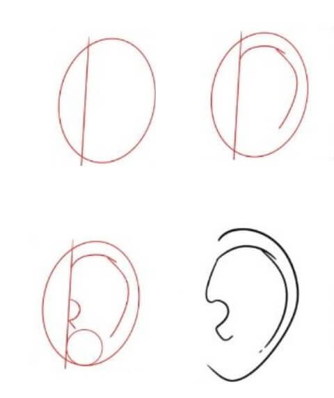 Desenhos de Orelha para crianças