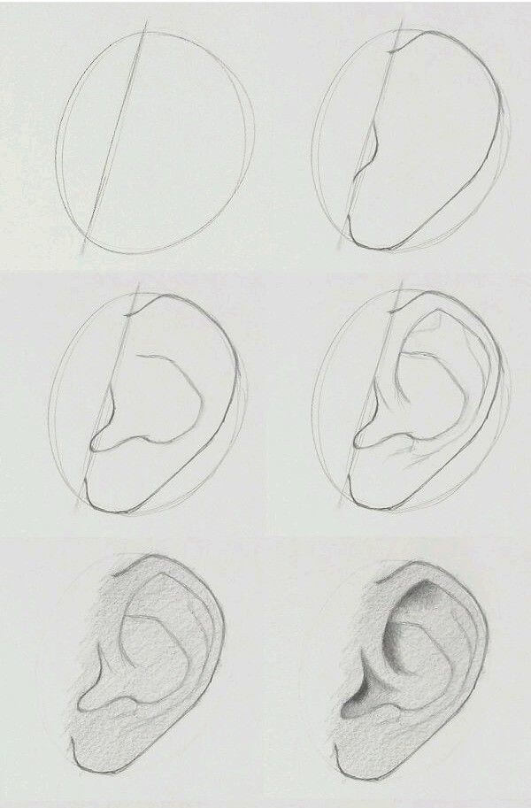 Desenhos de Orelha para imprimir