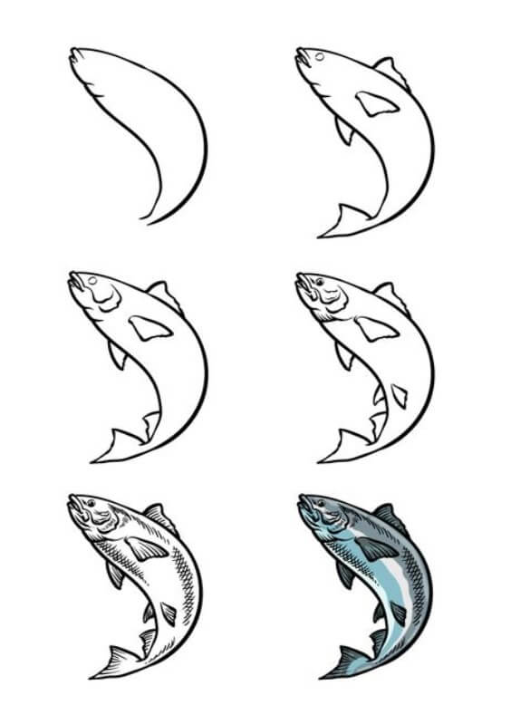 Desenhos de Salmão (2)