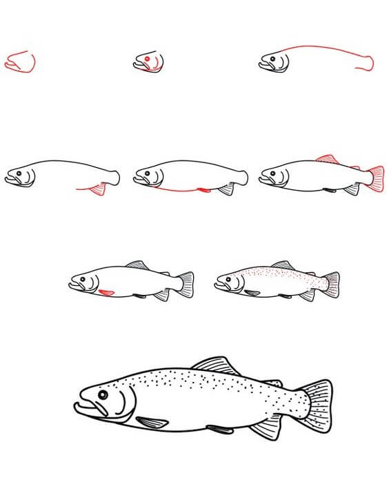 Desenhos de Salmão (3)
