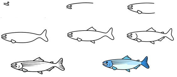 Desenhos de Salmão (4)