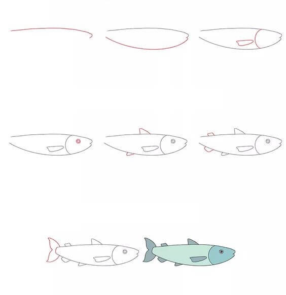 Desenhos de Salmão (6)