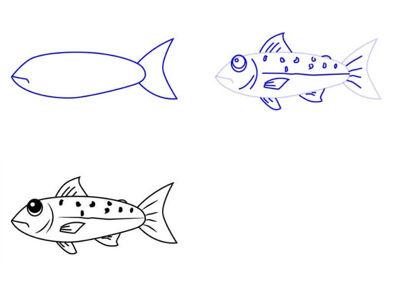 Desenhos de Salmão (7)