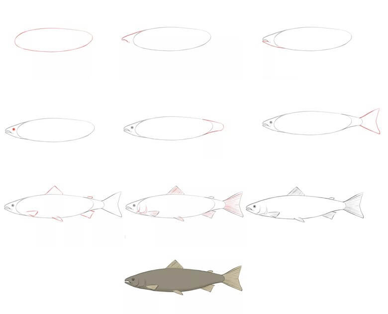 Desenhos de Salmão (9)