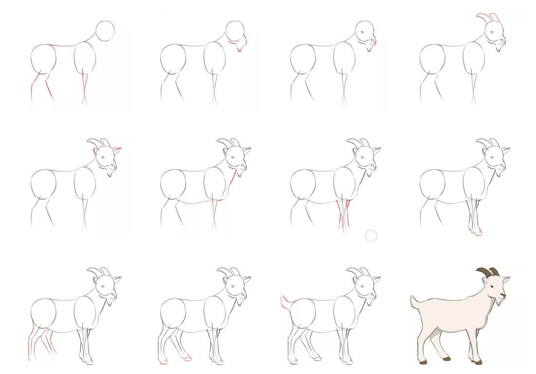 Desenhos de Bela cabra