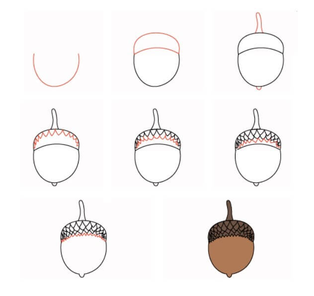Desenhos de Bolota básico