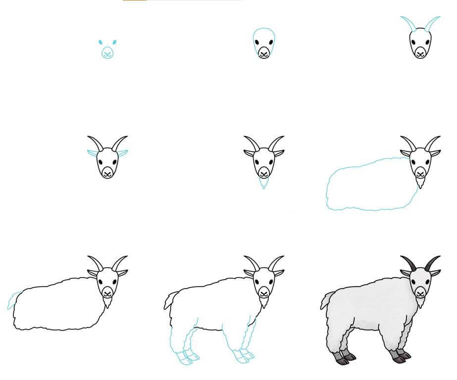 Desenhos de Cabra de pelos brancos