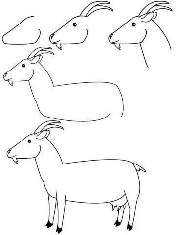Desenhos de Cabra normal