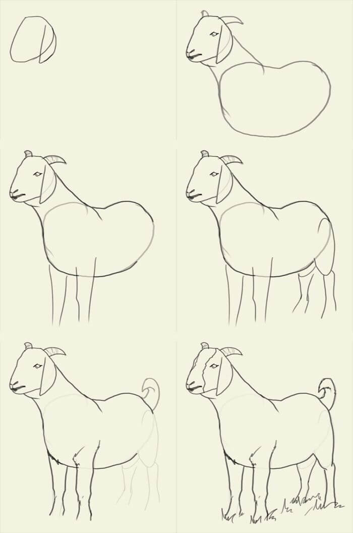 Desenhos de Contorno de cabra