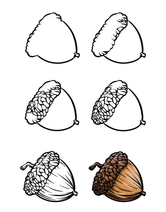 Desenhos de Detalhe da bolota