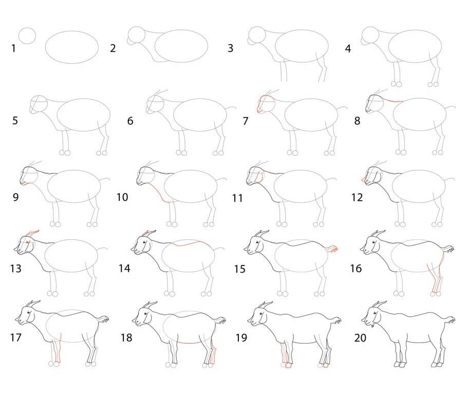 Desenhos de Detalhe de cabra