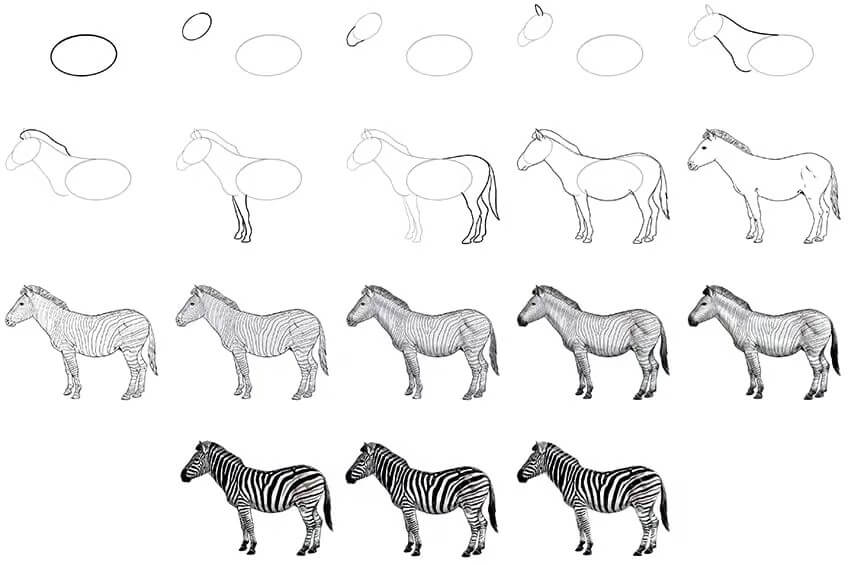 Desenhos de Detalhe de zebra