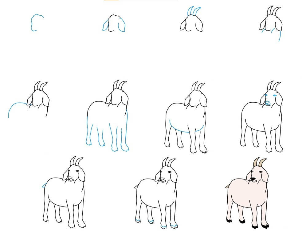 Desenhos de Gordura de cabra