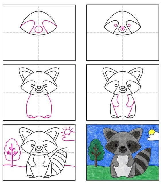 Desenhos de Guaxinim e sol