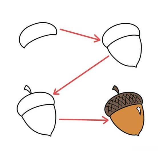 Desenhos de Imagem gratuita de bolota
