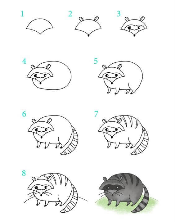 Desenhos de Imagem gratuita de guaxinim
