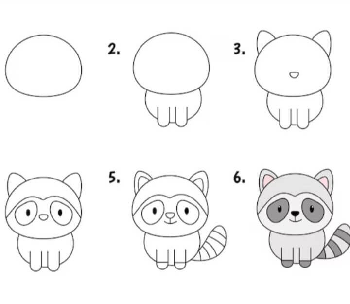Desenhos de Raccoon idea (17)