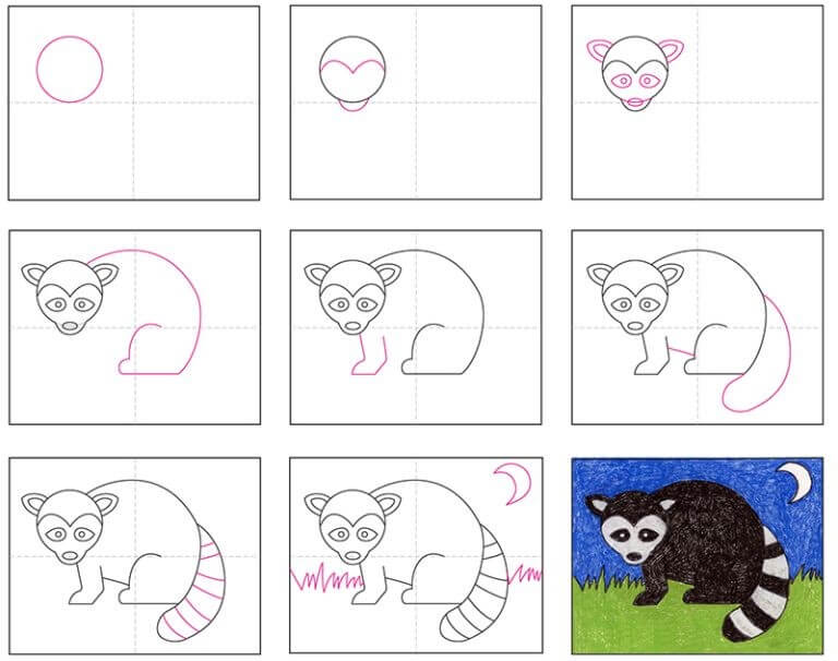 Desenhos de Raccoon idea (20)