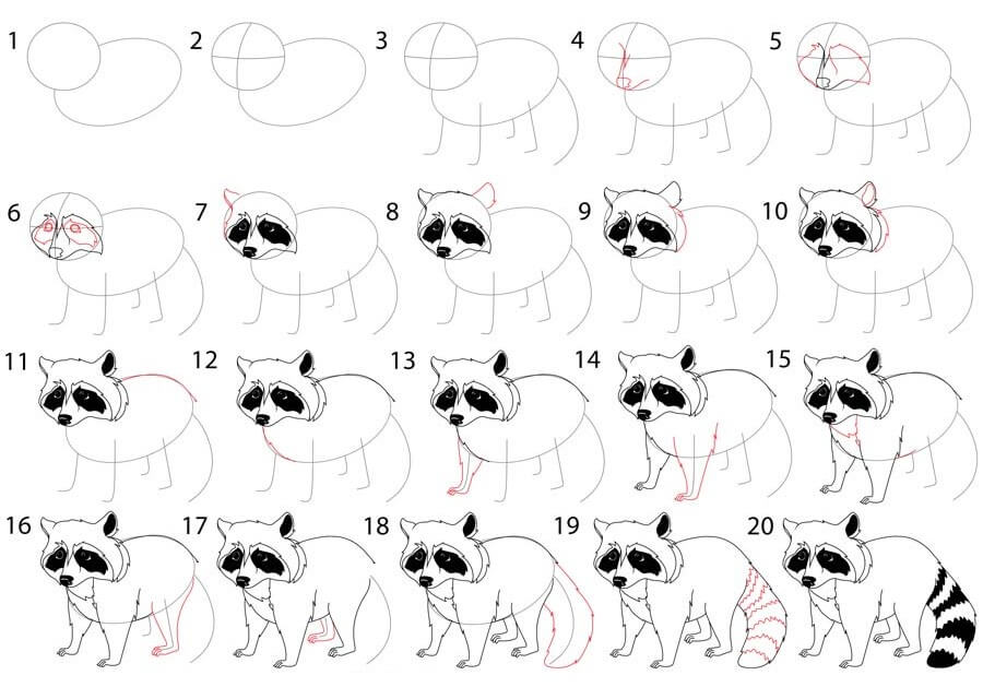 Desenhos de Raccoon idea (25)
