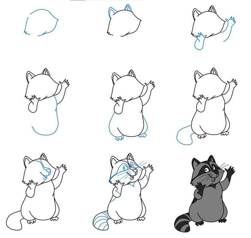 Desenhos de Raccoon idea (28)