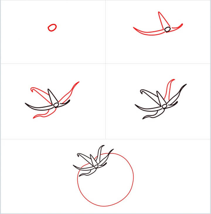 Desenhos de Imagem de tomate